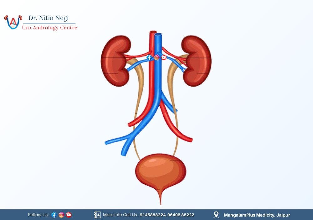 Urologist in Jaipur