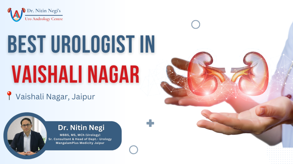 vaishali nagar